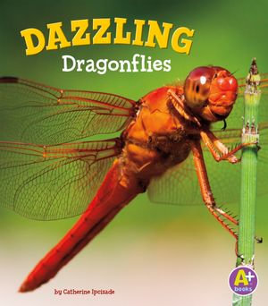 Dazzling Dragonflies : Bugs Are Beautiful! - Catherine Ipcizade