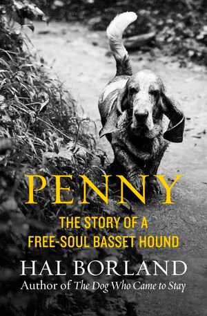 Penny : The Story of a Free-Soul Basset Hound - Hal Borland