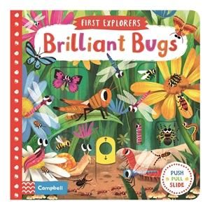 Brilliant Bugs : First Explorers - Chorkung