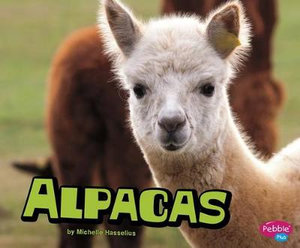 Alpacas : Farm Animals - Michelle Hasselius