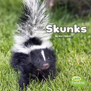 Skunks : Little Pebble: Black and White Animals - Mari C Schuh