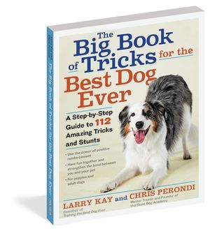 The Big Book of Tricks for the Best Dog Ever : A Step-by-Step Guide to 118 Amazing Tricks and Stunts - Larry Kay