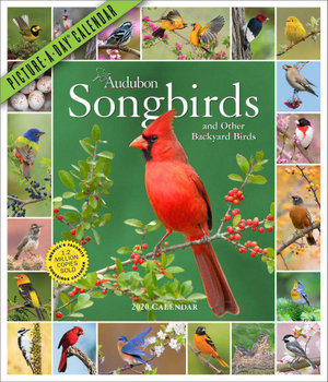 2020 Audubon Songbirds and Other Backyard Birds Picture-A-Day Calendar - National Audubon Society