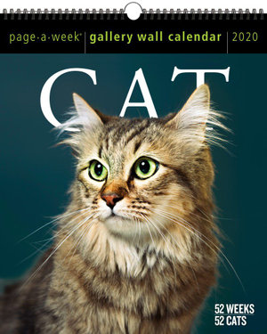 Cat Page-A-Week Gallery Wall Calendar 2020 - Workman Calendars