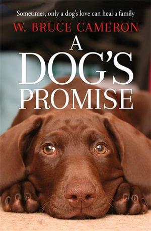 A Dog S Promise By W Bruce Cameron 9781529010084 Booktopia