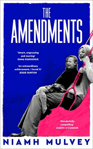 The Amendments : the instant Irish bestseller about one family through the generations - Niamh Mulvey