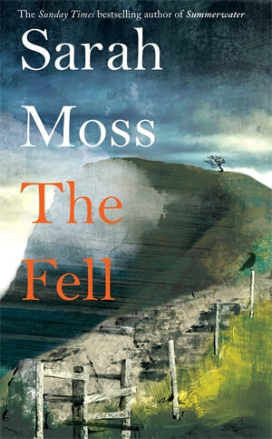 The Fell - Sarah Moss