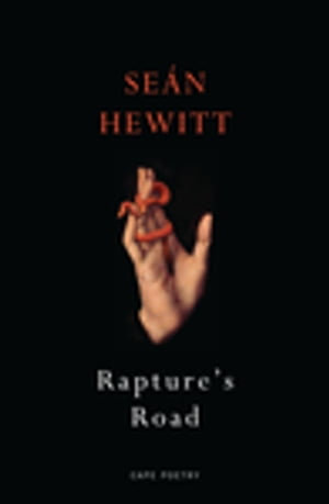 Rapture's Road : From the author of All Down Darkness Wide - Seán Hewitt