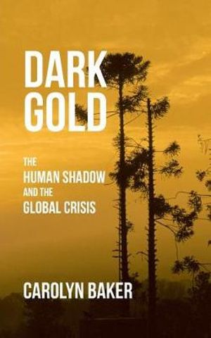 Dark Gold : The Human Shadow and the Global Crisis - Carolyn Baker