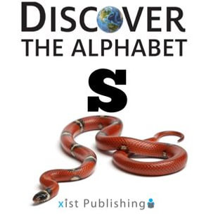 S : Discover the Alphabet : Book 19