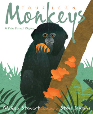 Fourteen Monkeys : A Rain Forest Rhyme - Melissa Stewart