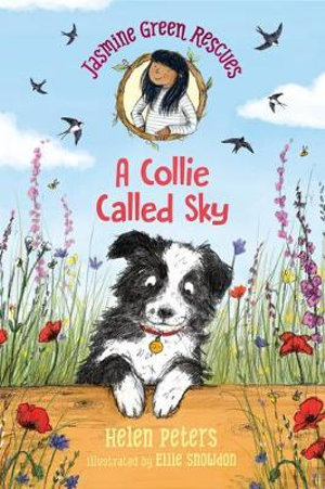 Jasmine Green Rescues : A Collie Called Sky - Helen Peters