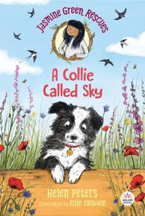 Jasmine Green Rescues : A Collie Called Sky - Helen Peters