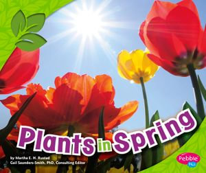 Plants in Spring : All about Spring - John Krenz