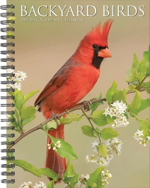 Backyard Birds 2025 6.5 X 8.5 Engagement Calendar - Willow Creek Press