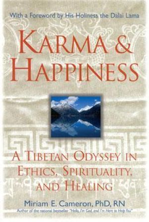 Karma and Happiness : A Tibetan Odyssey in Ethics, Spirituality, and Healing - Miriam E. Cameron