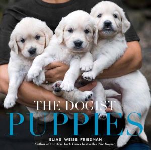 The Dogist Puppies - Elias Weiss Friedman