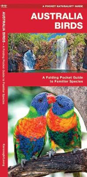 Australian Birds : A Folding Pocket Guide to Familiar Species - James Kavanagh