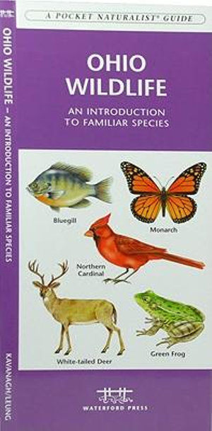 Ohio Wildlife : A Folding Pocket Guide to Familiar Species - James Kavanagh