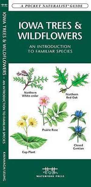 Iowa Trees & Wildflowers : A Folding Pocket Guide to Familiar Plants - James Kavanagh