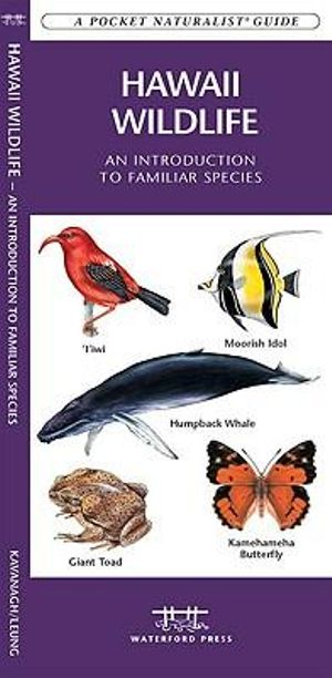 Hawaii Wildlife : A Folding Pocket Guide to Familiar Species - James Kavanagh