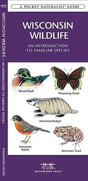 Wisconsin Wildlife : A Folding Pocket Guide to Familiar Animals - James Kavanagh