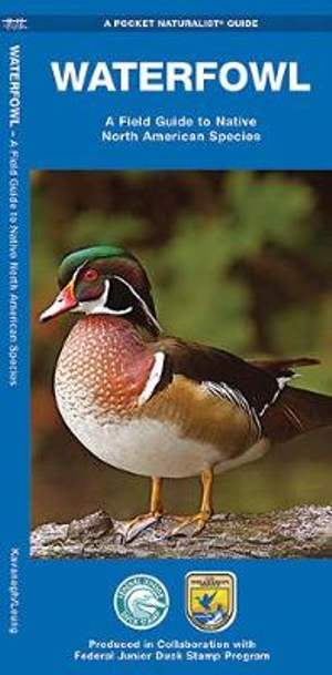 Waterfowl : A Field Guide to Native North American Species - James Kavanagh