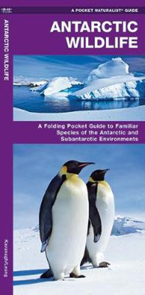 Antarctic Wildlife : A Folding Pocket Guide to Familiar Species of the Antarctic and Subantarctic Environments - James Kavanagh