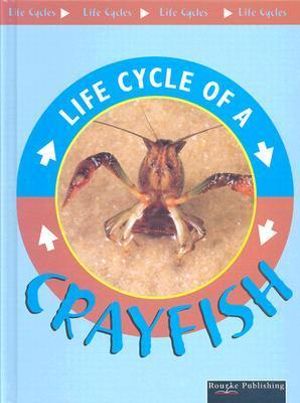 Life Cycle Of A Crayfish : Life Cycles - Jason Cooper