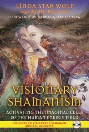 Visionary Shamanism : Activating the Imaginal Cells of the Human Energy Field - Linda Star Wolf