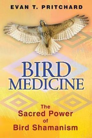 Bird Medicine : The Sacred Power of Bird Shamanism - Evan T. Pritchard