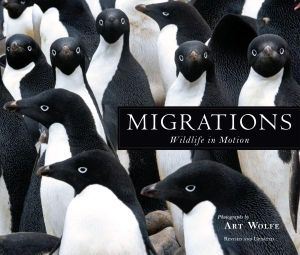 Migrations : Wildlife in Motion  - Art Wolfe