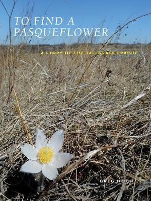 To Find a Pasqueflower : A Story of the Tallgrass Prairie - Greg Hoch