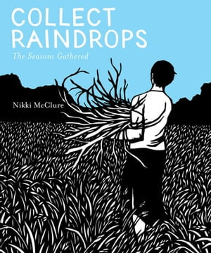 Collect Raindrops : The Seasons Gathered - Nikki McClure