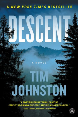 Descent : A Novel - Tim Johnston