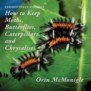 Lepidopteran Zoology : How to Keep Moths, Butterflies, Caterpillars, and Chrysalises - Orin McMonigle