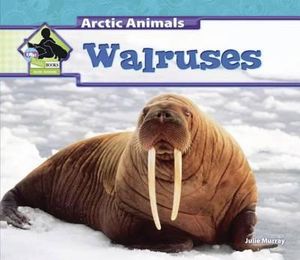 Walruses : Arctic Animals - Julie Murray