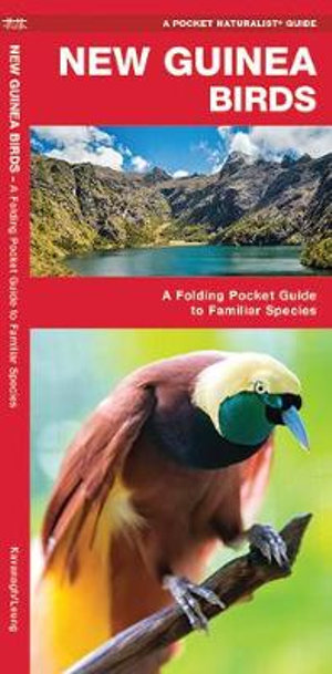 New Guinea Birds : A Folding Pocket Guide to Familiar Species - James Kavanagh