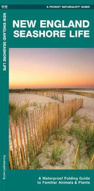 New England Seashore Life : A Folding Guide to Familiar Animals & Plants - James Kavanagh