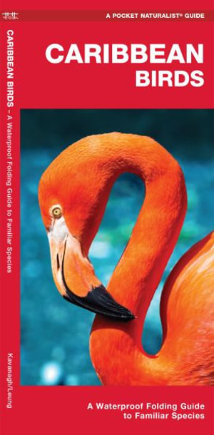 Caribbean Birds : A Waterproof Folding Guide to Familiar Species - Waterford Press