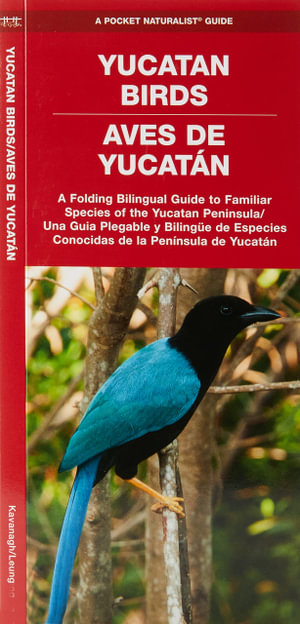 Yucatan Birds/Aves de Yucatan : A Folding Pocket Guide to Familiar Species/Una Guia Plegable Portatil de Especies Conocidas - Waterford Press