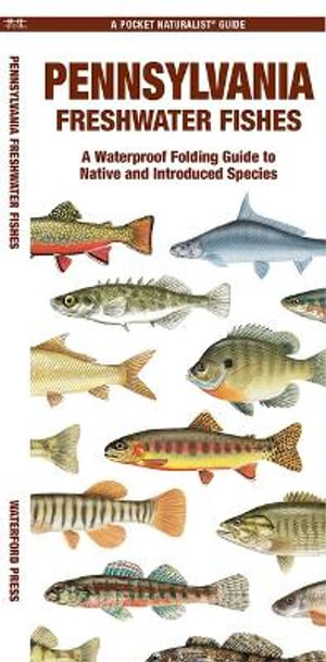 Pennsylvania Freshwater Fishes : A Waterproof Folding Guide to Native and Introduced Species - Waterford Press