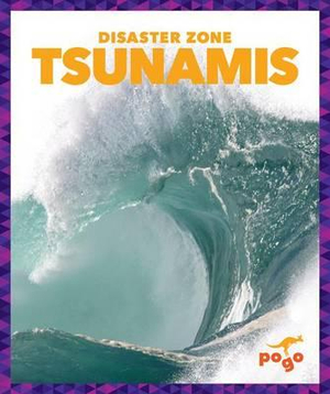 Tsunamis : Disaster Zone - Cari Meister