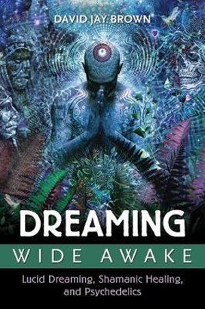 Dreaming Wide Awake : Lucid Dreaming, Shamanic Healing, and Psychedelics - David Jay Brown