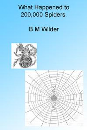 What Happened to 200,000 Spiders. Illustrated - B M Wilder