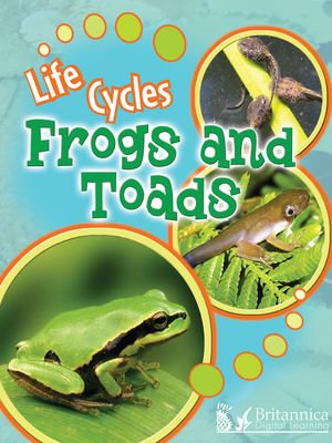 Frogs and Toads : Life Cycles - Julie Lundgren