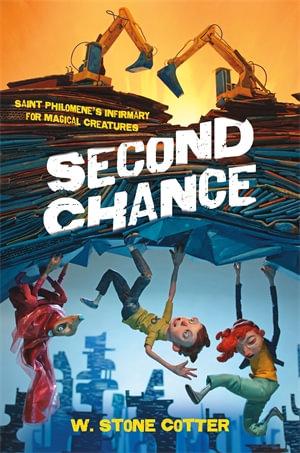 Second Chance : Big Rock Sky - W. Stone Cotter