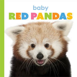 Baby Red Pandas : Starting Out - Kate Riggs