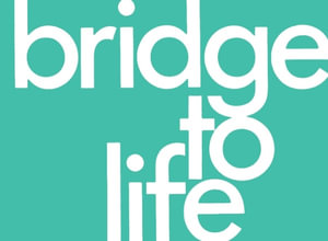 Bridge to Life (pack of 25) - The Navigators