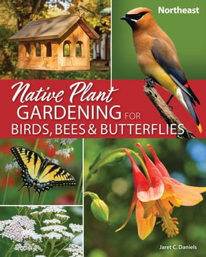 Native Plant Gardening for Birds, Bees & Butterflies : Northeast - Jaret C. Daniels